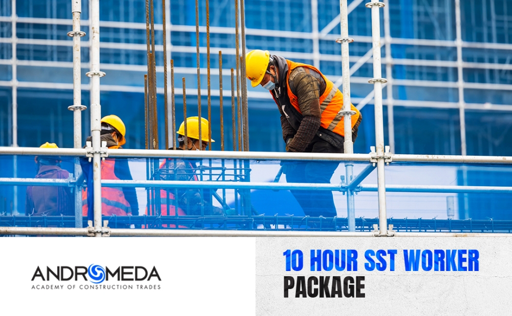 10 Hour SST DOB Approved Training Course, In-Person