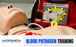 Blood Pathogen Training