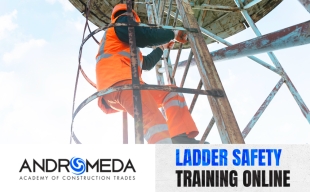 Ladder Safety Training Online