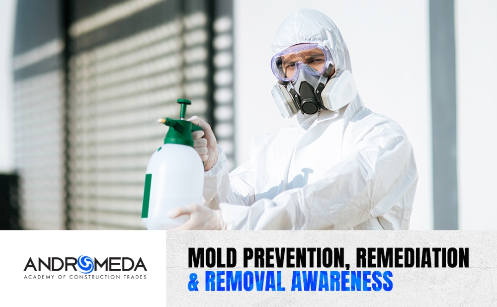 Mold Prevention, Remediation & Removal