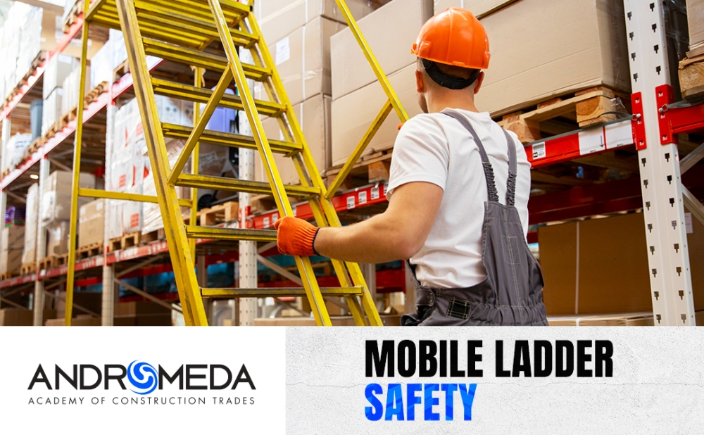 Mobile Ladder Safety