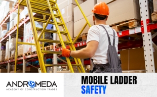 Mobile Ladder Safety