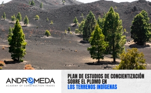 Plan De Estudios De Concientización Sobre El Plomo En Los Terrenos Indígenas: ¡Mantener Sanos A Nuestros Niños!