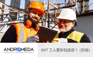 SST 工人更新套餐选项 1
